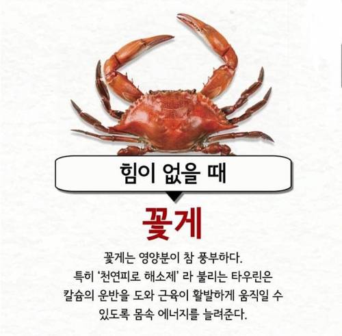 컨디션이 안좋을 때의 처방.jpg