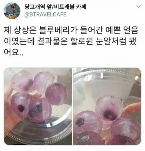 블루베리를 넣은 예쁜 얼음을 만들어보고 싶었다.jpg