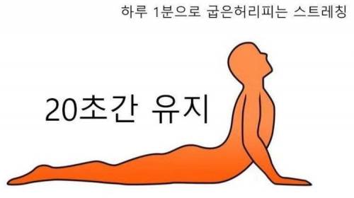 하루 1분으로 굽은 허리 피는 스트레칭.jpg