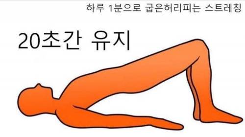 하루 1분으로 굽은 허리 피는 스트레칭.jpg