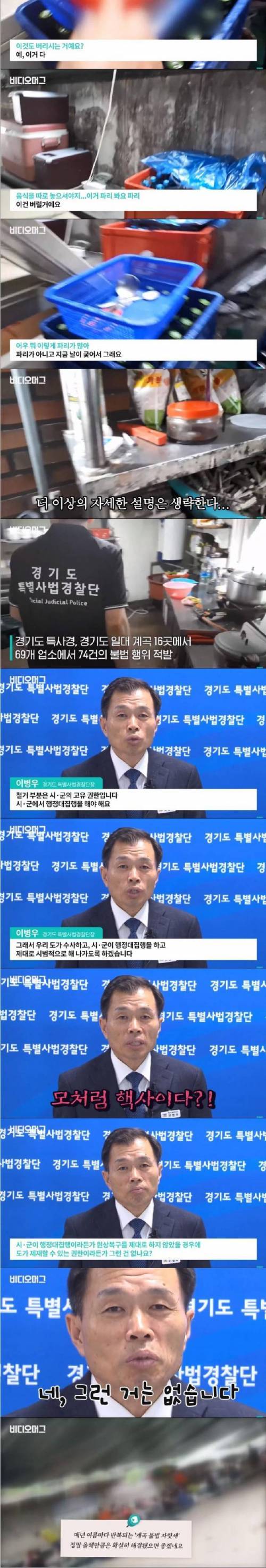 [스압]불법 계곡 안녕.jpg