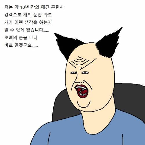 [스압] 자꾸 사고치는 개 훈련시키는 만화.jpg