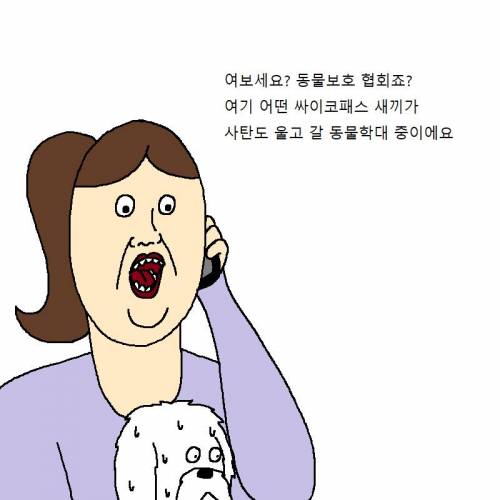 [스압] 자꾸 사고치는 개 훈련시키는 만화.jpg