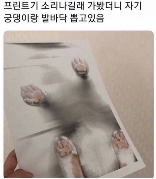 프린트기 소리 나길래 가봤더니