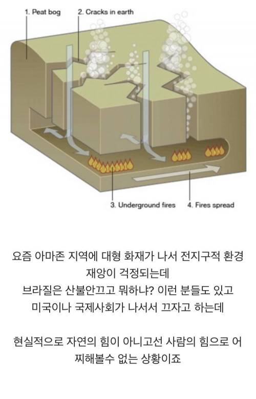 아마존 화재를 빨리 못 끄는 이유.jpg