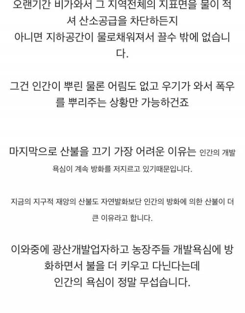 아마존 화재를 빨리 못 끄는 이유.jpg