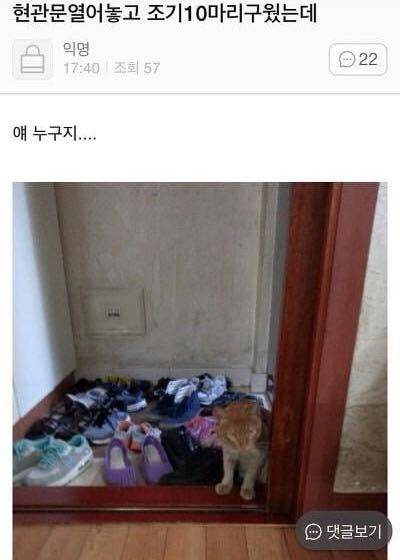 문 열어놓고 요리하면 안되는 이유.jpg