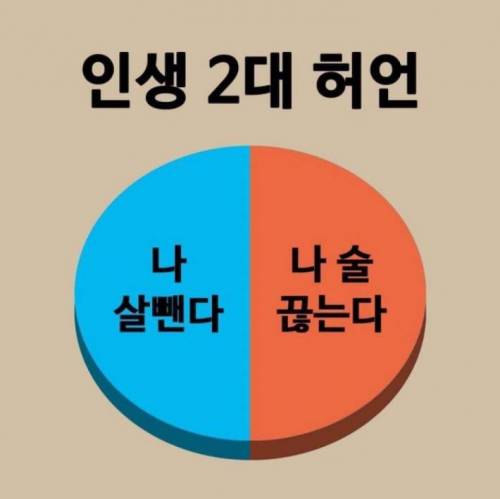 인생 2대 허언.jpg