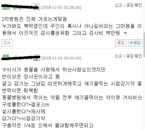 동물병원 과잉진료.jpg