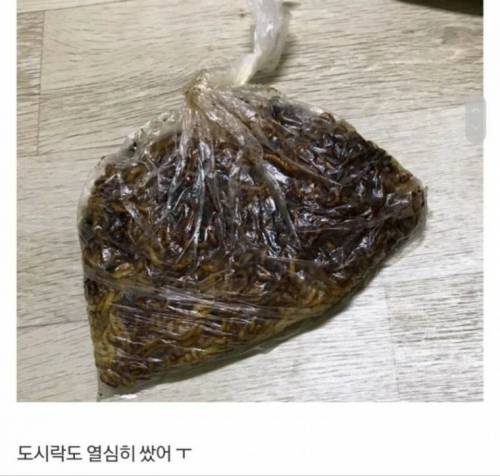 썸녀의 설레이는 피크닉 도시락.jpg