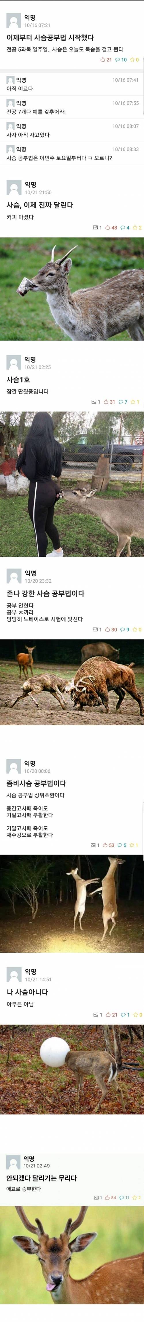 시험기간...사슴좌..jpg