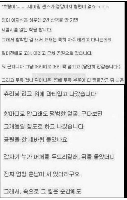 강아지 산책 중 번호 따간 썰.jpg