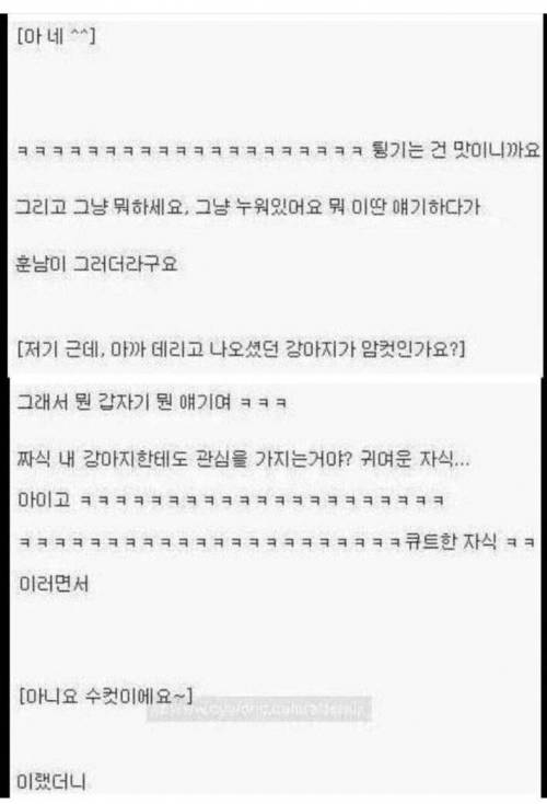 강아지 산책 중 번호 따간 썰.jpg