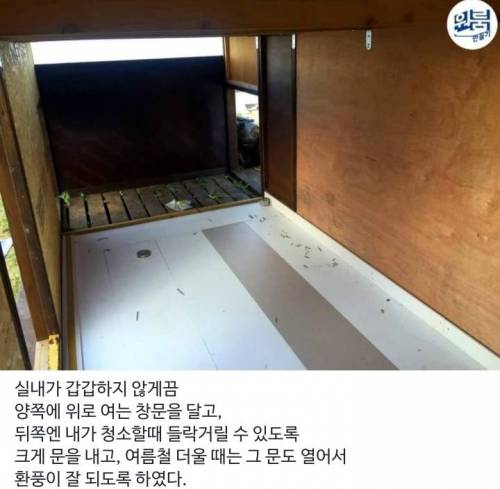 [스압] 역대급 금손의 댕댕이 전용 원룸 만들기