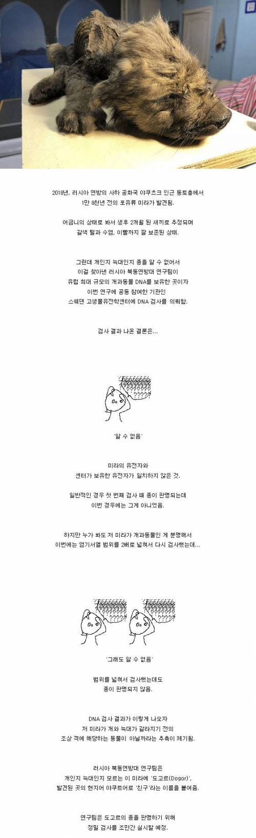 러시아에서 발견된 1만8천년 된 미이라