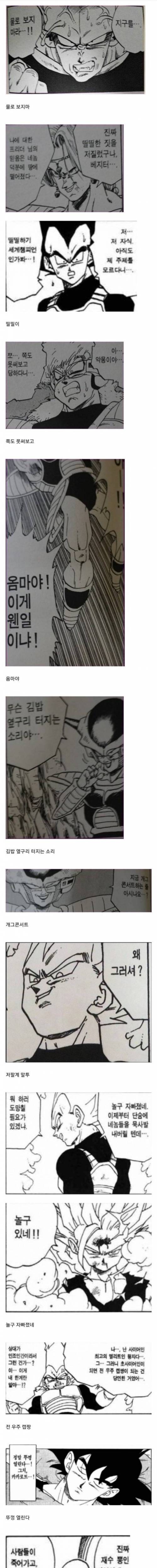 [스압] 번역에 유행어를 쓰면 안되는 이유