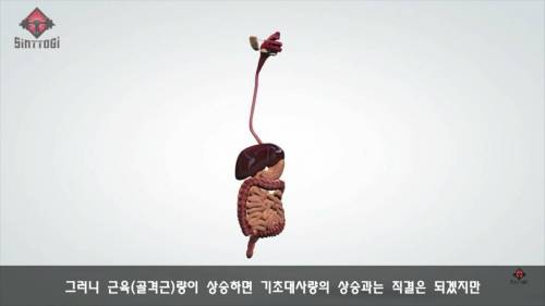 [스압] 우리가 몰랐던 기초대사량의 진실.jpg