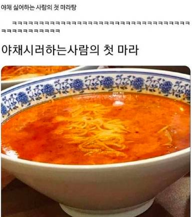 야채 싫어하는 사람의 첫 마라탕