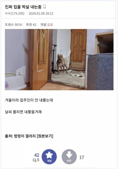 진짜 집을 박살내는 중.jpg