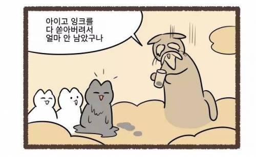 고양이의 털색이 정해지는 방법.jpg