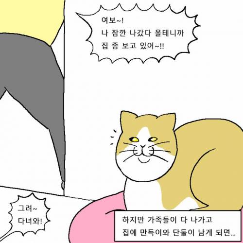 [스압] 새해 해돋이 보러 가려다 외출금지 당하는 만화.jpg