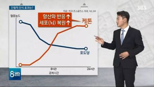 간헐적 단식에 대한 연구.jpg