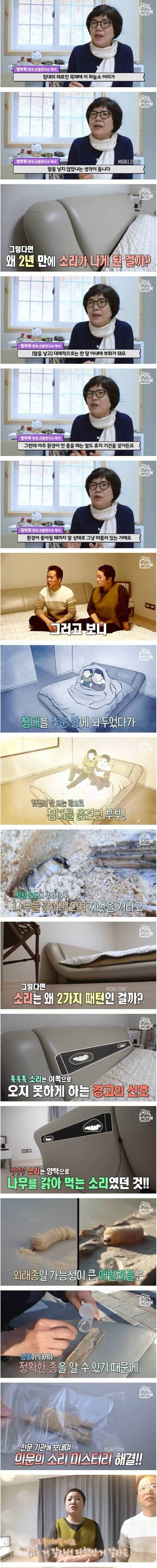 [스압] 침실에서 잠을 잘 때마다 들려오는 수상한 소리.jpg