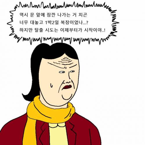 [스압] 새해 해돋이 보러 가려다 외출금지 당하는 만화.jpg