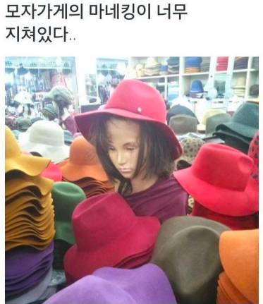 모자 가게 마네킹이 너무...jpg