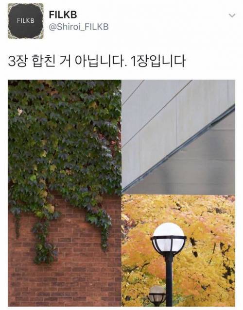 합친 것 같은 사진