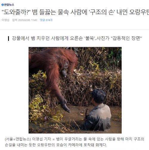 오랑우탄 착한 손.jpg