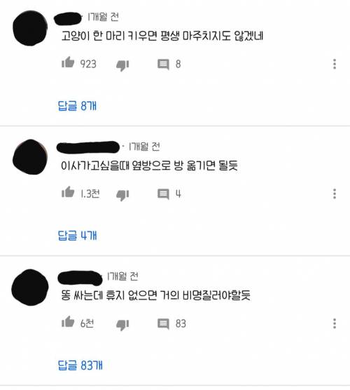 356평 분양가 334억인 집.swf