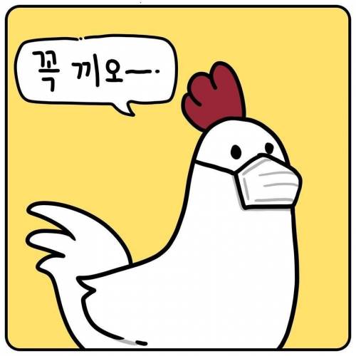 마스크 꼭껴야해요?.jpg