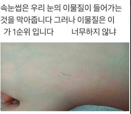 눈썹은 눈의 이물질을 막아줍니다 그러나