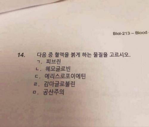 다음중 피를 붉게 하는것을 고르시오