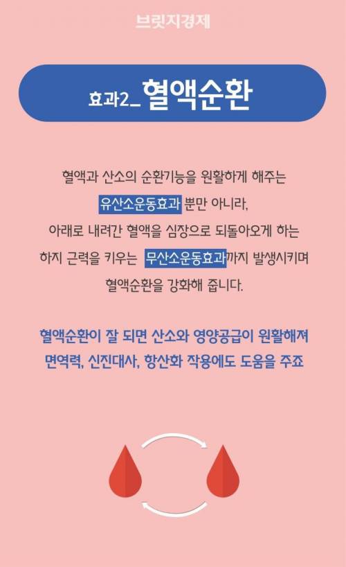 [스압] 최소의 투자로 최대의 효과를 보는 '계단 오르기'