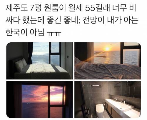 제주도 7평 원룸 55만원