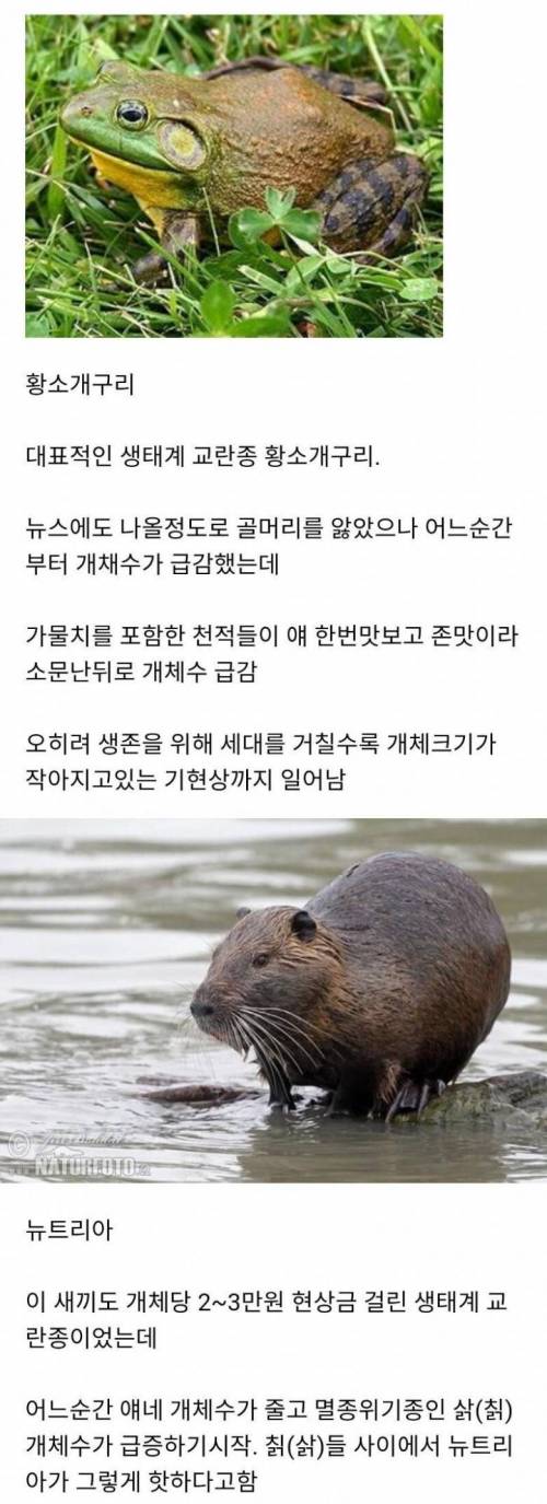 야심차게 한국에 진출했던 용병들 근황.jpg