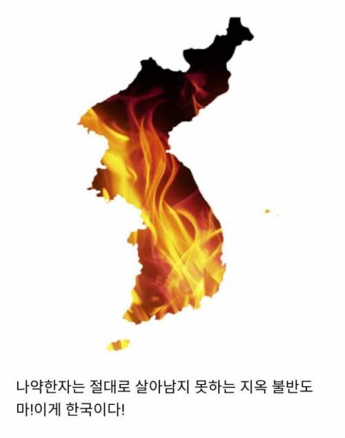 야심차게 한국에 진출했던 용병들 근황.jpg