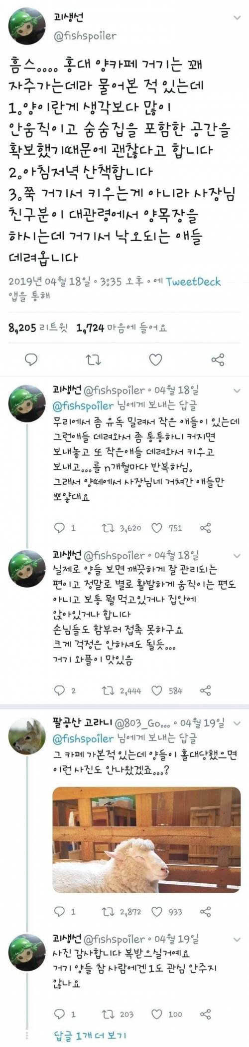 [스압] 홍대 양카페