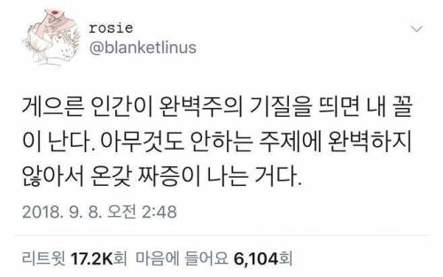 게으른 인간이 완벽주의 기질을 띄면 생기는 일