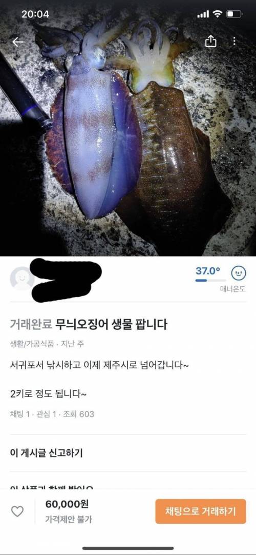 당근마켓 매물 근황