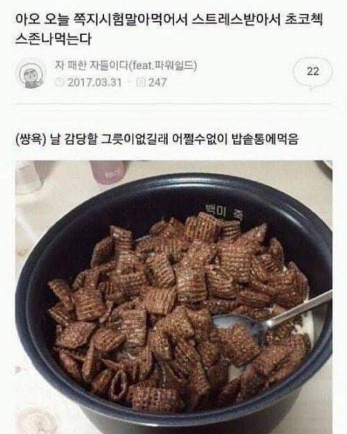 분노의 초코첵스.jpg