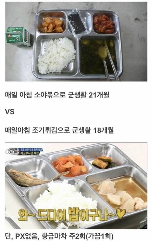 군생활 21개월 vs 18개월.jpg