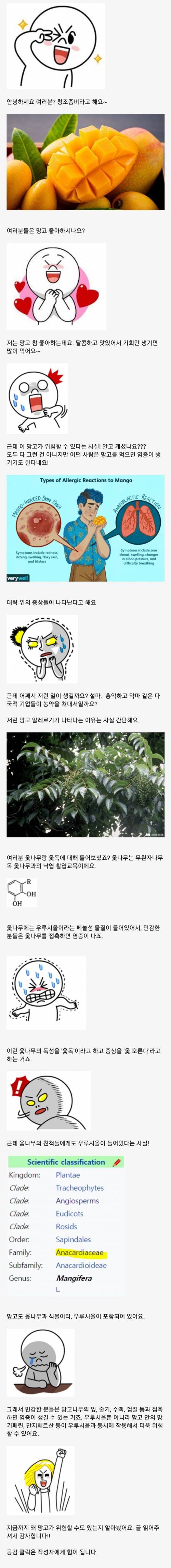 망고가 위험할수도 있다?.jpg