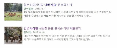 일본 관광지 나라현의 사슴 공원에 사슴들 근황