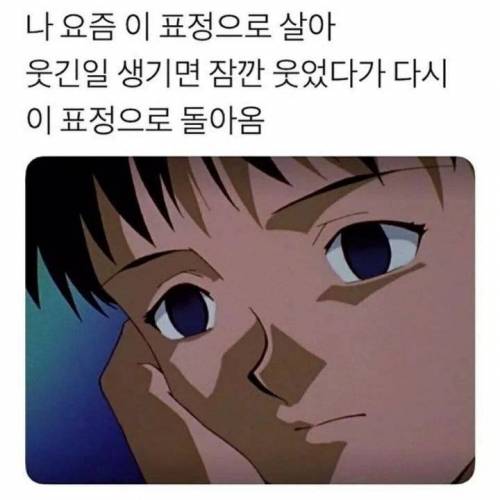 직장인 디폴트 표정