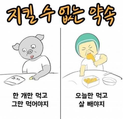 지키는 사람이 비정상임..jpg