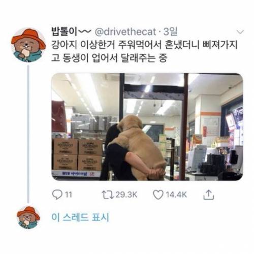 괜히 뭐라고 했다가 삐져버린 댕댕이.jpg