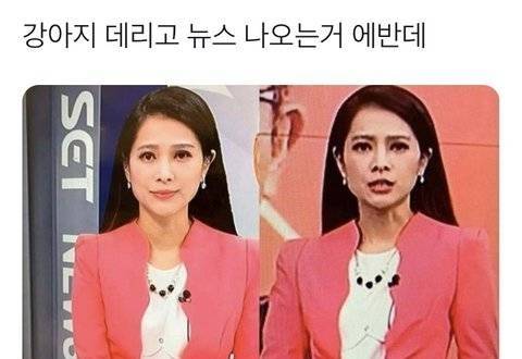 아무리 그래도 뉴스에 강아지는 좀..